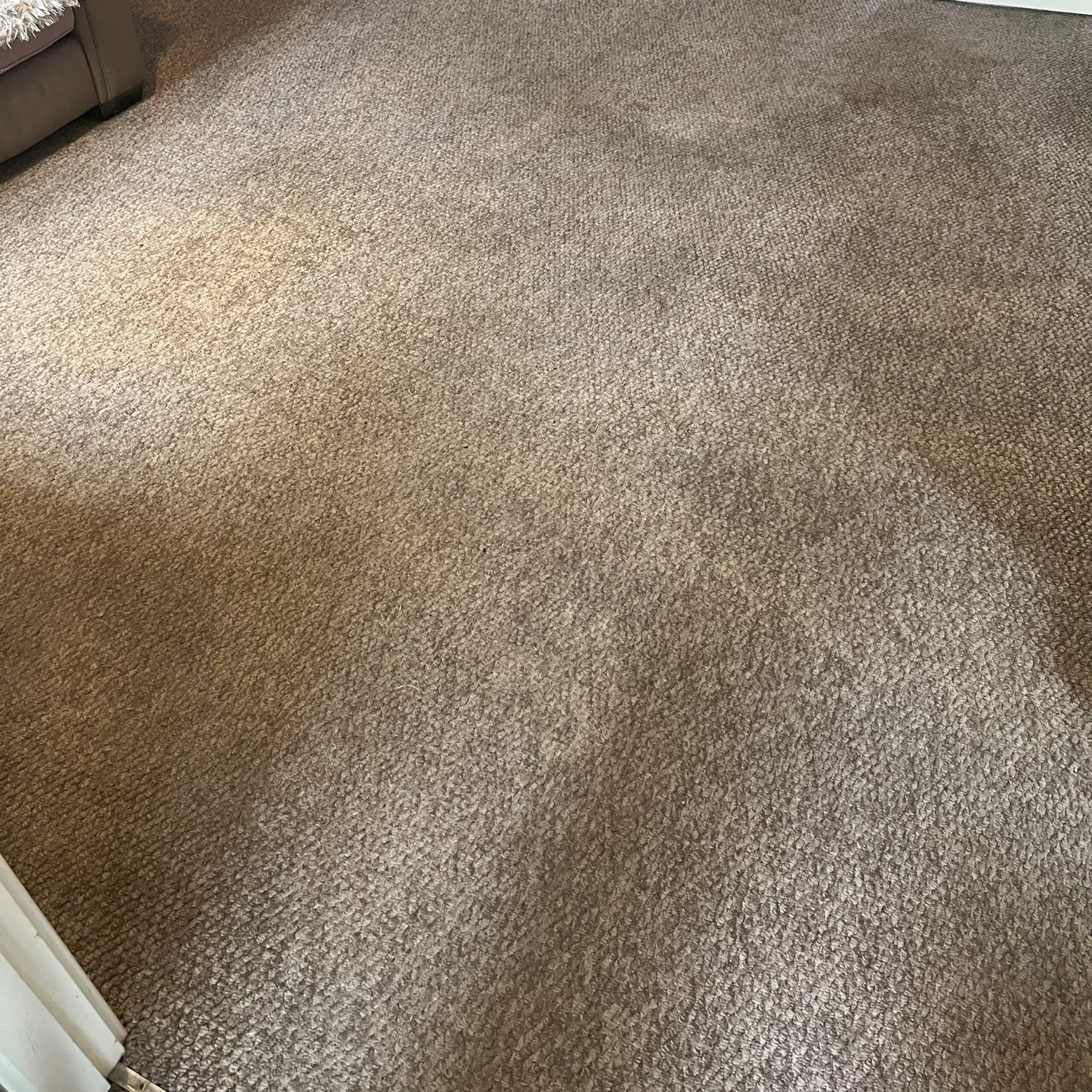 CleanSteam Cumbria Carpet & Upholstery Cleaning Professional