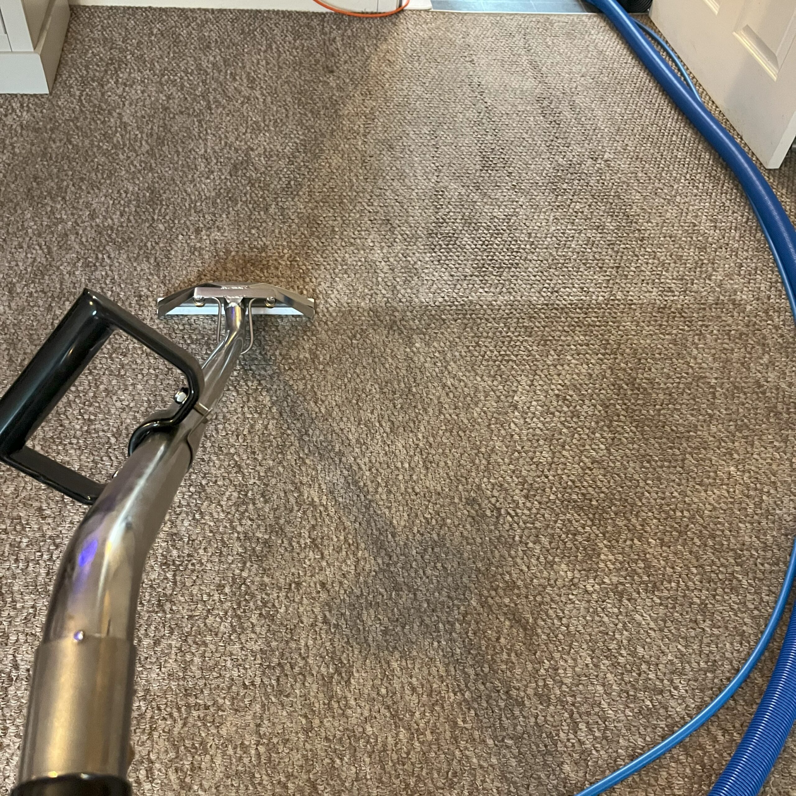 CleanSteam Cumbria Carpet & Upholstery Cleaning Professional